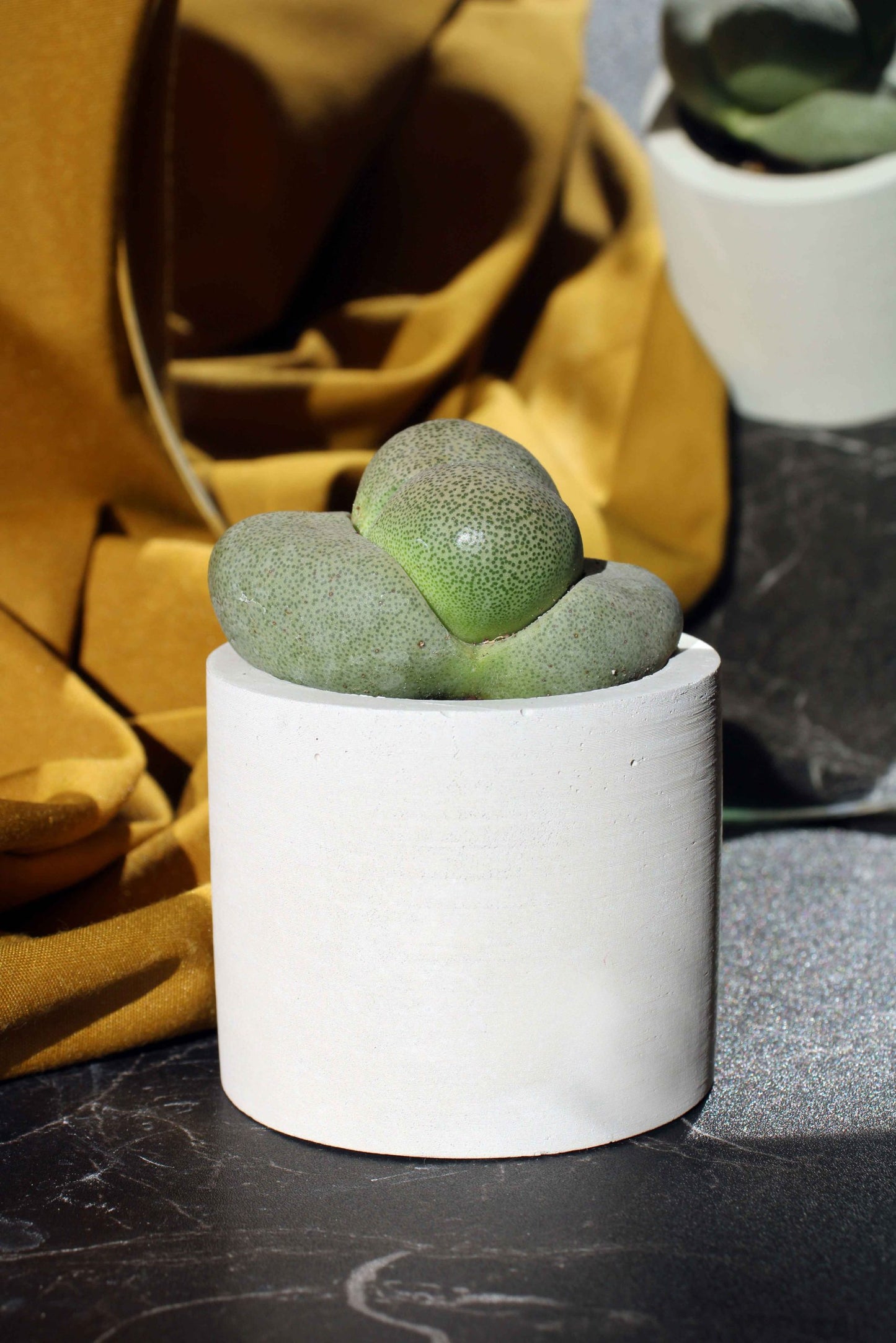 CONCRETE CYLINDER TEALIGHT HOLDER, CONCRETE CYLINDER POT
